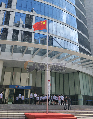 佛山顺德税局51黄色网站在线看